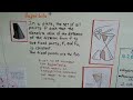 algebra ii 10.2a introducing conic sections