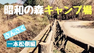 昭和の森キャンプ場！散策（一本松側編）