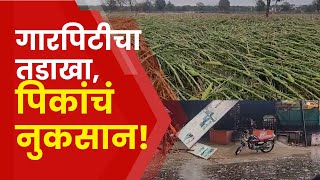 Buldhana Unseasonal Rain | बुलढाण्यात गारपिटीमुळे मका,ज्वारीच्या पिकांचं नुकसान! | Marathi News