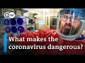 Coronavirus research: When can a vaccine be expected? | DW News