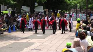 第8回よさこい祭りin光が丘公園(2014/7/20)「翔笑伝」