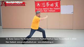 Cannon Fist Moves Master Chen Zhonghua Queenstown Practical Method Open House 20240301