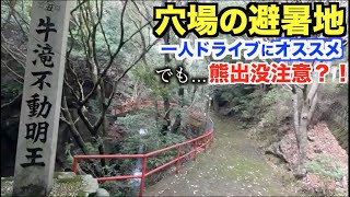 【穴場】和歌山絶景の桜と山奥にポツンとある滝へ行ってきた