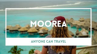 What to do in Moorea | Snorkeling with Tropical Fish, Rays, Sharks and Whales