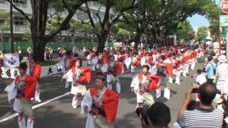 風来～ふらり～　～2014高知よさこい祭り・本祭２日目(追手筋本部競演場(南))