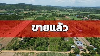 ปิดการขาย | รีวิว ขายที่ดิน 20 ไร่ พร้อมบ้าน ไฟฟ้าประปา พร้อมสวนสัก สระน้ำ สวนมะนาว วิวสวยๆสุด