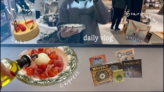 【vlog】【ENG Sub】Christmas in Japan / Mont St.Clair Cakes / boardgame 【Life in Japan 】