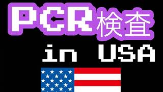 【アメリカ🇺🇸せいかつ】アメリカでPCR検査うけてみた٩( ᐛ )و🇺🇸