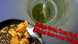 Walleye Catch/Clean/Cook (Wicked Underwater Strike!)