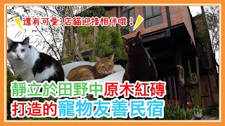 靜立於田野中原木紅磚打造的寵物友善民宿 還有可愛3店貓迎接相伴哦！