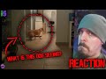 Nuke's Top 5 Dogs That Saw Something Their Owners Couldn't See : ESP and the Supernatural | REACTION