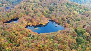 錦秋の鳥海山湯ノ台/ドローン映像