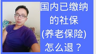 国内已缴纳的社保(养老保险)怎么退？