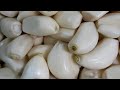 Arcelle Lee is live!garlic