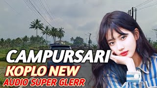 SUPER PULEN TENAN , POP JAWA CAMPURSARI KOPLO TERPOPLUER 2024