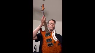 Neck Pickup Comparison Worthy of it All