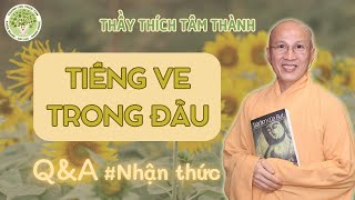 Q \u0026 A | Tại sao có hiện tượng tiếng ve kêu trong đầu?