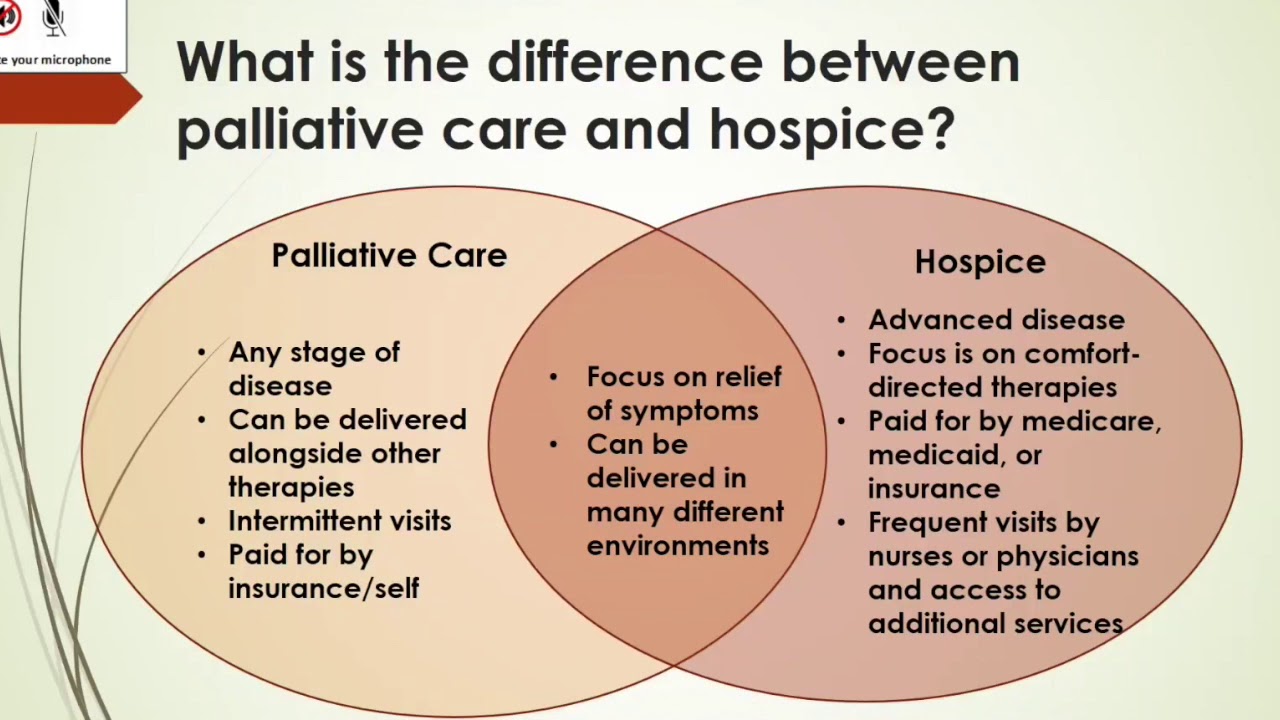 Palliative Care: What It Is, Examples, Benefits | Johnnyyesc081