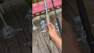 Van Staal VSX2 VS. VSX Whine ONE has the louder DRAG clicker?? #fishing #shorts #reels #fish #like