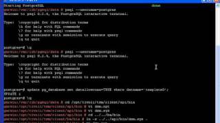 rdp4Postgres client setup 1