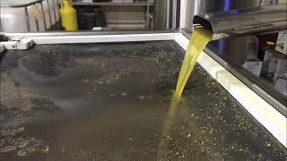 Zeytinyağı nasıl yapılır? / How to make olive oil?