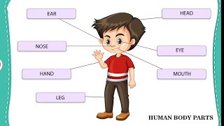 Learn myself - Body parts Name | Learning video for kids , family members name #preschoollearning