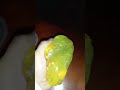 que slime más bonito