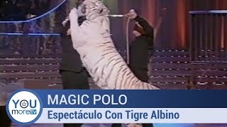 Magic Polo - Espectáculo Con Tigre Albino