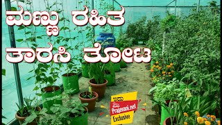 ಮಣ್ಣು ರಹಿತ ತಾರಸಿ ತೋಟ | Soilless Terrace garden