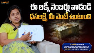 ఈ లక్కీ నెంబర్లు వాడండి ధనలక్ష్మి మీ వెంటే ఉంటుంది ! | Harini | Kanuri Creations