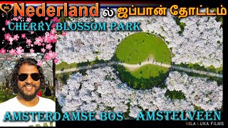 Cherry Blossom Park | Amsterdamse Bos | Amstelveen | Nederland ல் ஒரு ஜப்பான் தோட்டம்