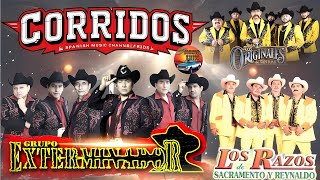 Grupo Exterminador \u0026 Los Razos🤠Los Originales de San Juan🤠Puros Corridos Mix Para Pistear 0701