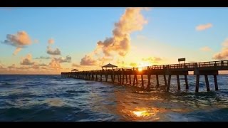 Discover the Palm Beaches - The Perfect Place