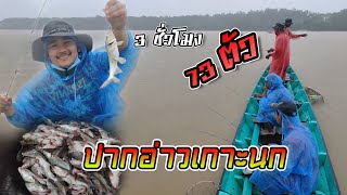 EP.11ออกตกปลา🎣 ในช่วงฤดูฝน⛈️เทสหมายปากอ่าวเกาะนก.ปลาเยอะมากๆ🐟💥(สองมือถือคันเบ็ด)#จังหวัดสงขลา