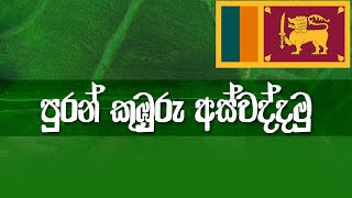 එකතුවෙයල්ලා🇱🇰 Puran Kuburu Aswaddamu Theme Song - Viraj Bathiya