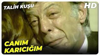 Talih Kuşu - Ünlü Fabrikatör Mahmut Bey, İflas Etti! | Adile Naşit Münir Özkul Eski Türk Filmi