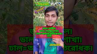 #বানানেরনিয়ম #বাংলাব্যাকরণ #বাংলা #ব্যাকরণ #Grammar #ধ্বনিতত্ত্ব #শব্দতত্ত্ব #বাক্যতত্ত্ব