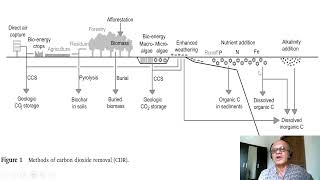 2   Global CO2 Removal Potential