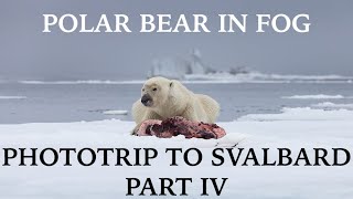 PHOTOTRIP to SVALBARD // Polar bear in Fog // Part IV // Canon EOS R5