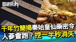 陸千年竹簡 揭秦始皇求仙藥密令 人蔘會跑係金A？挖一半卻秒消失｜關鍵開幹EP16精華