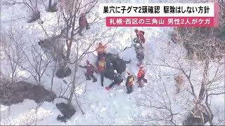 “ヒグマの巣穴”に子グマ2頭… 札幌で男性2人襲われケガ受け調査 \