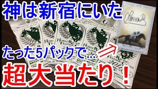 【競馬カード】ホースレーシング トレーディングカード2017【開封動画】