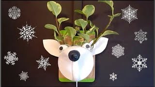 Recycled Craft Ideas For Kids | DIY Recycle Plastic Bottle Moose Planter | DIY Room Decor Project