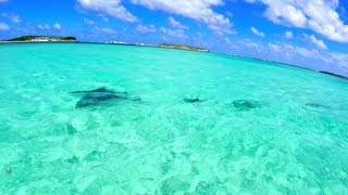 Kitesurfing with Dolphins In San Salvador, The Bahamas