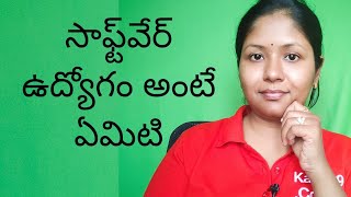 What is Software job ? Explained in Telugu