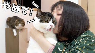 ママが猫吸いしたら息子猫の感情がなくなってしまいました…