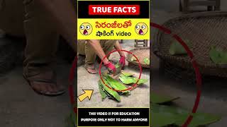 Home made lipstick 😲 వామ్మో.. సిరంజీలతో #amazingfacts #truefacts #shorts