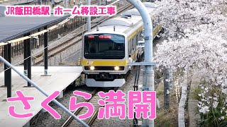 さくら満開！JR飯田橋駅ホーム移設工事の状況【１７】（2019年3月31日撮影） Tokyo Sakura - cherry-blossom - viewing