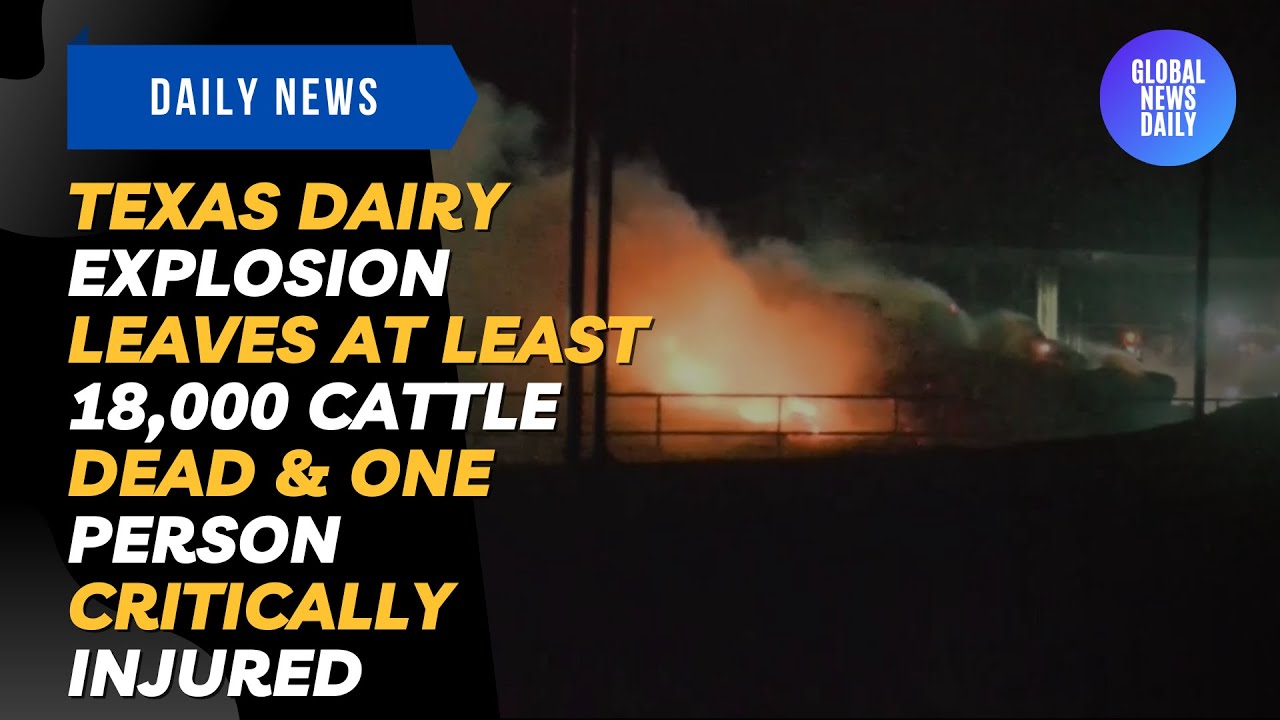 Texas Dairy Explosion Leaves At Least 18,000 Cattle Dead & One Person ...