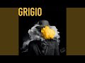 Grigio